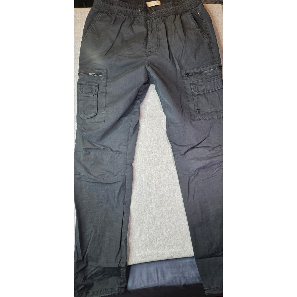 PacSun Mens Slim Fit Cargo Pants Charcoal Gray Elastic Waist Size M Stretch
